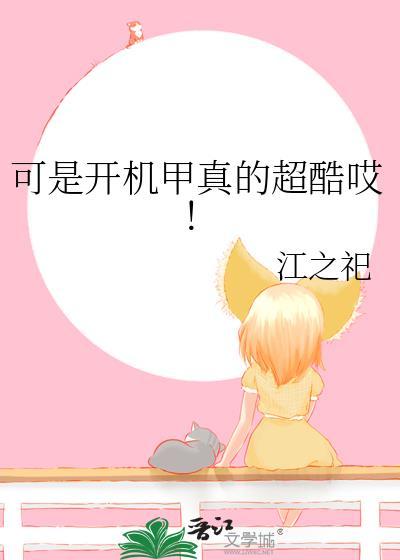 可是开机甲真的超酷哎