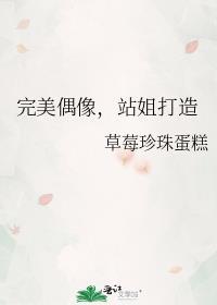 完美偶像站姐打造TXT最新章节列表
