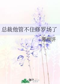 总裁不想修罗场