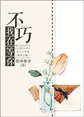 等我不再借助隐喻什么意思