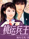 桃运兵王瀚海苍鹰大结局免费观看