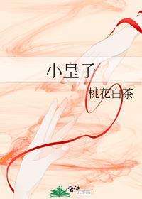 小皇子外贸