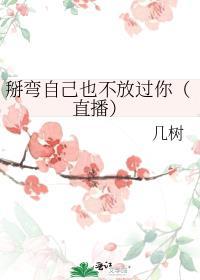 掰弯了什么三观