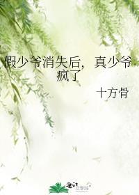 假少爷失忆真少爷后悔了