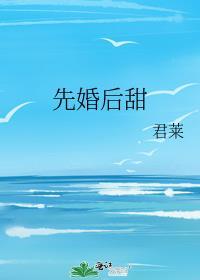 先婚后甜袖刀