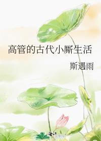 高管在古代的小厮生活