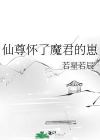 仙尊怀了魔君的崽免费阅读全文