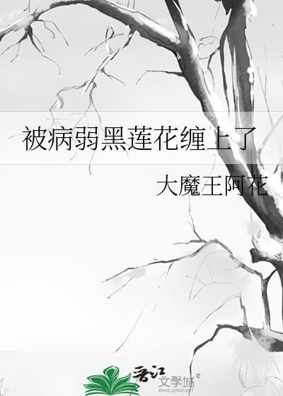 新婚夫妇穿七零全文免费阅读