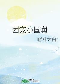 团宠小国舅TXT奇书网