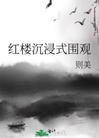 红楼沉浸式围观TXT全文免费阅读