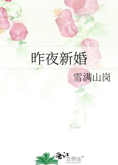 昨夜新婚作者雪满山岗免费阅读