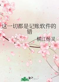 记账软件的使用体验