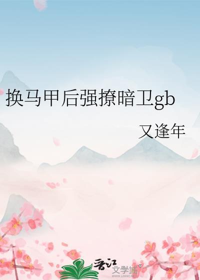 换了马甲是什么意思啊