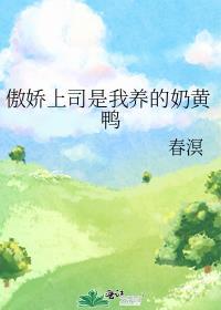 我的傲娇上司的分类