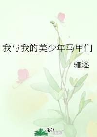我和我的美少年马甲们txt
