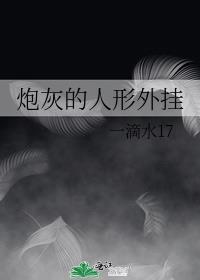 炮灰人形外桂by北途川