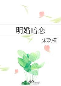 明婚暗糖全文免费阅读无广告