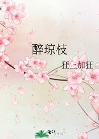 醉琼枝全文无错版