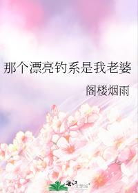 重返巅峰安装