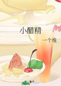 小醋精夏添