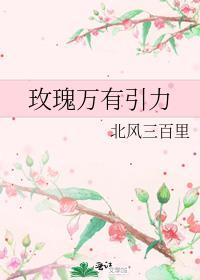 玫瑰引力2