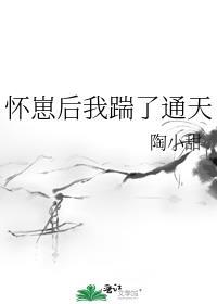 怀崽后我和alpha闹离婚未删减版免费