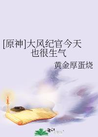 教令院大风纪官须弥