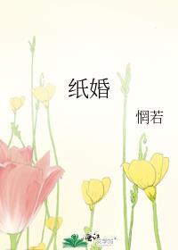 纸婚是几年