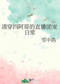 清穿四四独宠文