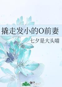 撬走发小的前妻盘