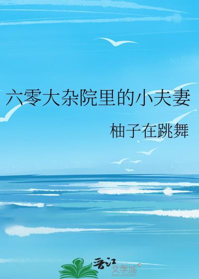 六零大杂院夫妻日常
