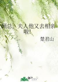 顾总夫人又要和离了短剧15集