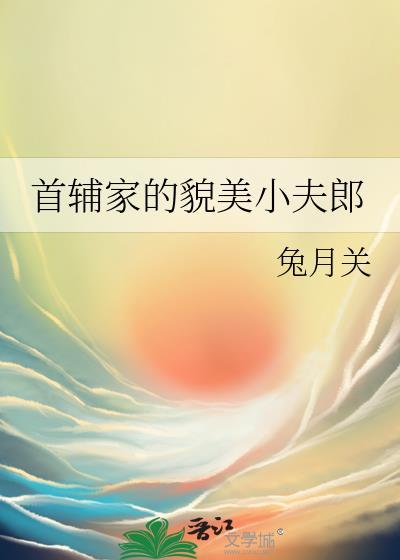 首辅家的貌美小夫郎txt百度