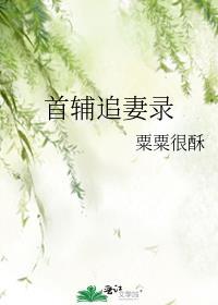 首辅的宠妻日常全文免费阅读