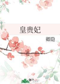 皇贵妃讲的什么