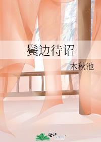 鬓边待诏讲什么故事