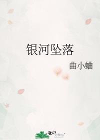 银河坠落未删减