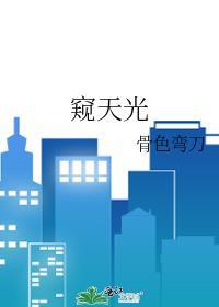 窥天光by骨色弯刀TXT资源