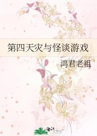 第四天灾和游戏里玩家的关系