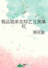 极品姐姐全文阅读