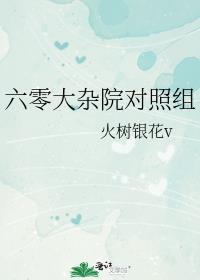 六零大杂院对照组 作者 火树银花