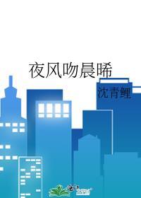 夜风吻晨晞txt