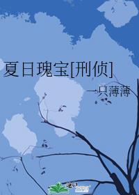 夏日瑰宝TXT