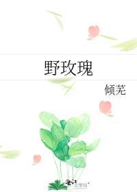野玫瑰电视剧在线观看完整版