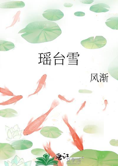 瑶台雪by风渐讲的什么