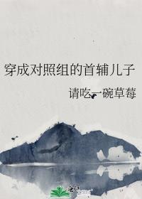 穿成对照组的首辅儿子有cp吗