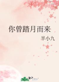 歌词我曾踏月而来