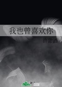 我也曾经是什么歌曲的歌词