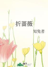 折蔷薇拭微TXT百度