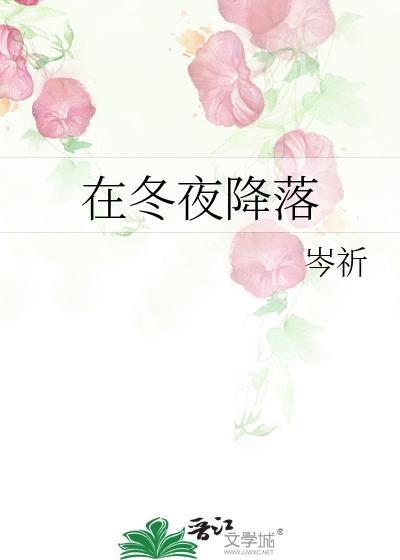 韩国电影在冬夜